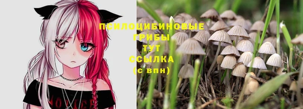 скорость Абаза