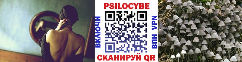 Галлюциногенные грибы ЛСД мориарти какой сайт Шилка где купить наркоту
