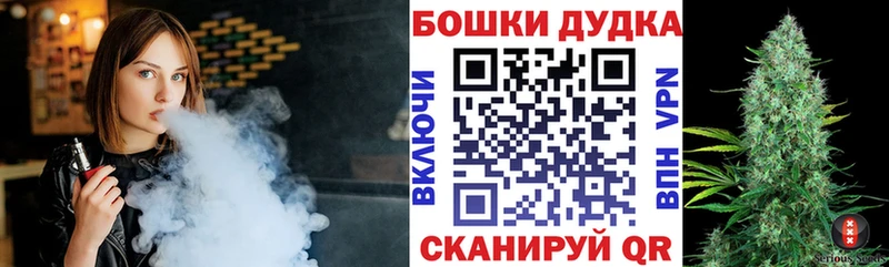 продажа наркотиков  Шилка  Шишки марихуана сатива 